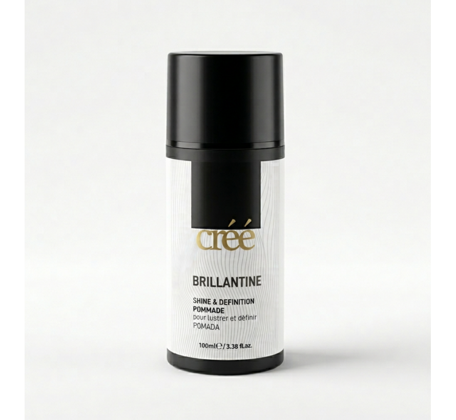 Shine and Definition Pomade 100ml. Per 12 Stuks