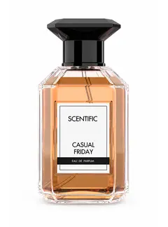 Scentific CASUAL FRIDAY Eau de Parfum 100ml