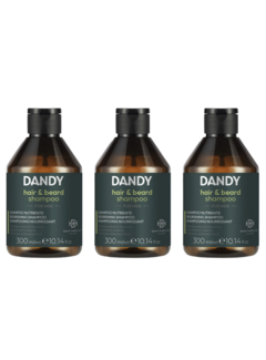 DANDY HAIR & BEARD SHAMPOO 300ml - 3 STUKS