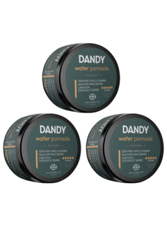 DANDY WATER POMADE 100ml - 3 STUKS
