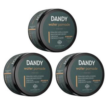 DANDY WATER POMADE 100ml - 3 STUKS