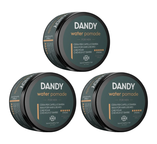 DANDY WATER POMADE 100ml - 3 STUKS