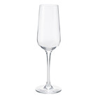 Champagneglas impériale graveren vanaf 7,45 euro