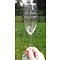 Champagneglas 17cl graveren vanaf 7,45 met snelle levering