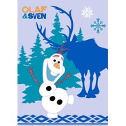 Frozen Vloerkleed Frozen: 95x133 cm (RFROZGA-03095133T06)