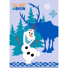 Frozen Vloerkleed Frozen: 95x133 cm (RFROZGA-03095133T06)