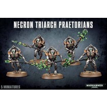 Warhammer 40,000 Xenos Necrons: Triarch Lychguard/Praetorians