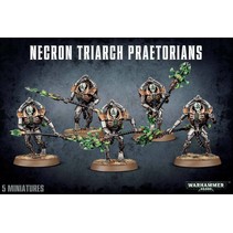 Warhammer 40,000 Xenos Necrons: Triarch Lychguard/Praetorians