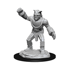 D&D Nolzur's Marvelous Miniatures - Stone Golem