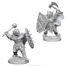 D&D Nolzur's Marvelous Miniatures: Dragonborn Paladin