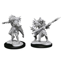 D&D Nolzur's Marvelous Miniatures: Sahuagin