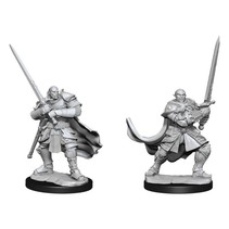 D&D Nolzur's Marvelous Miniatures: Half-Orc Paladin