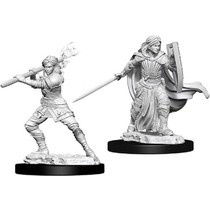 D&D Nolzur's Marvelous Miniatures: Human Paladin