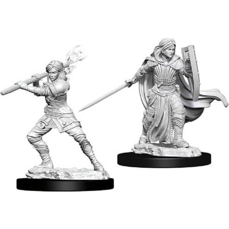 WizKids D&D Nolzur's Marvelous Miniatures: Human Paladin