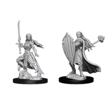 D&D Nolzur's Marvelous Miniatures: Elf Paladin