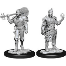 D&D Nolzur's Marvelous Miniatures - Half Elf Bard