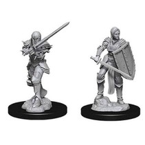 D&D Nolzur's Marvelous Miniatures - Human Fighter