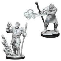 D&D Nolzur's Marvelous Miniatures - Firbolg & Druid