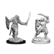 D&D Nolzur's Marvelous Miniatures - Dragonborn Paladin