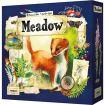 Meadow NL/FR