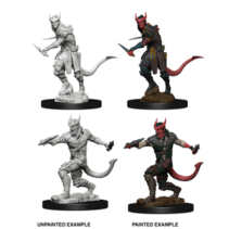 D&D Nolzur's Marvelous Miniatures - Tiefling Male Rogue