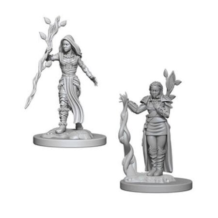 WizKids D&D Nolzur's Marvelous Miniatures - Female Human Druid