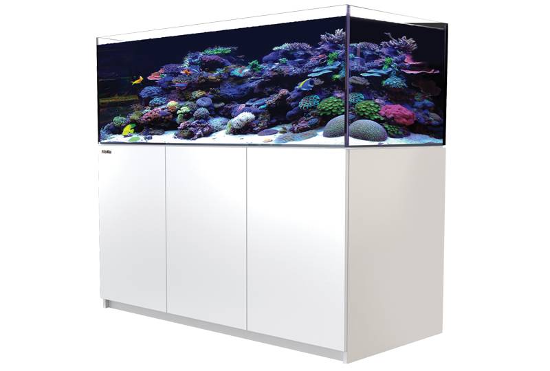 melodie vingerafdruk Faial Red Sea Reefer G2+ XL 525 Wit Aquarium - Te koop bij Aquacompleet -  Aquacompleet