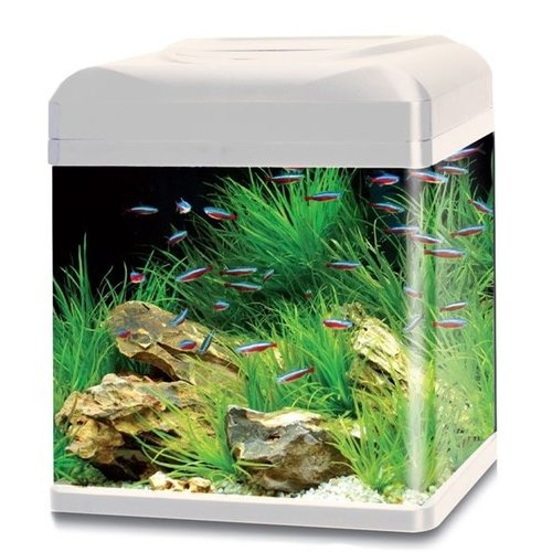 HS Aqua HS Aqua aquarium lago 30 LED wit HS Aqua HS Aqua aquarium lago 30 LED wit