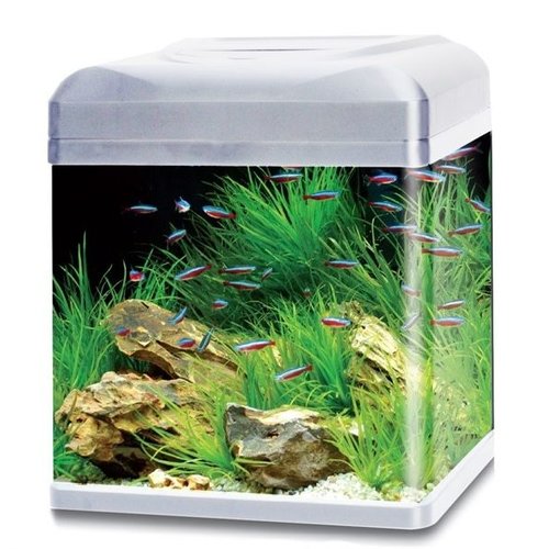 HS Aqua HS Aqua aquarium lago 50 LED zilver HS Aqua HS Aqua aquarium lago 50 LED zilver