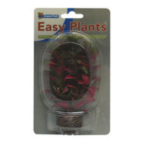 SuperFish SuperFish Easy plants voorgrond 13 cm nr.7 SuperFish SuperFish Easy plants voorgrond 13 cm nr.7