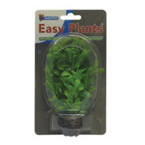 SuperFish Superfish easy plants voorgrond 13 cm nr. 8 SuperFish Superfish easy plants voorgrond 13 cm nr. 8
