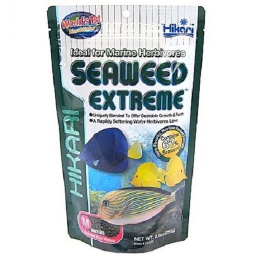 Hikari Hikari Marine Seaweed Extreme Medium wafers 250 gram Hikari Hikari Marine Seaweed Extreme Medium wafers 250 gram