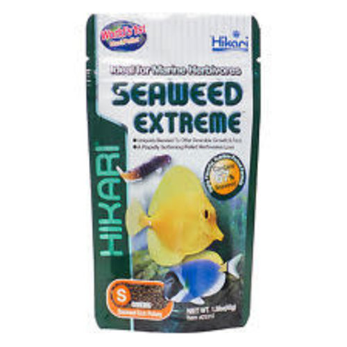 Hikari Hikari Marine Seaweed Extreme Small Pellet 100 gram Hikari Hikari Marine Seaweed Extreme Small Pellet 100 gram