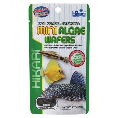 Hikari Hikari Mini Algae wafers 22 gram