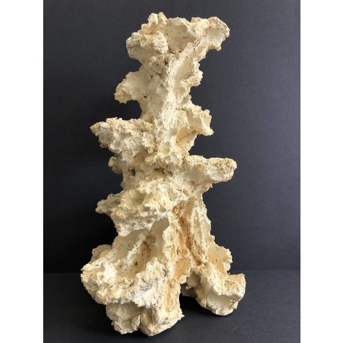 Aqua Roche Aquaroche Reef Scene Flat back L Aqua Roche Aquaroche Reef Scene Flat back L
