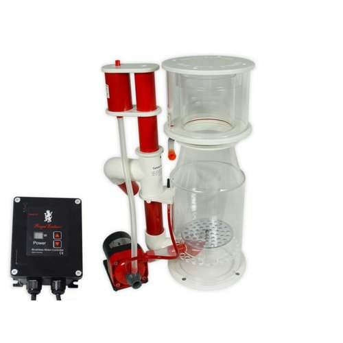 Royal Exclusiv Royal Exclusiv BK Deluxe 200 intern + RD3 50W Royal Exclusiv Royal Exclusiv BK Deluxe 200 intern + RD3 50W