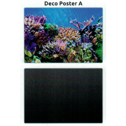 SuperFish SuperFish Deco poster A6 150x61 cm SuperFish SuperFish Deco poster A6 150x61 cm