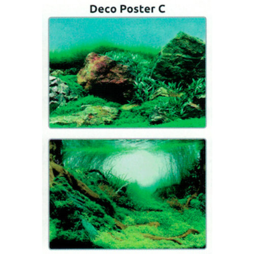 SuperFish SuperFish Deco poster C6 150x61 cm SuperFish SuperFish Deco poster C6 150x61 cm