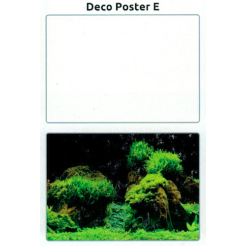 SuperFish SuperFish Deco poster E4 120x49 cm SuperFish SuperFish Deco poster E4 120x49 cm