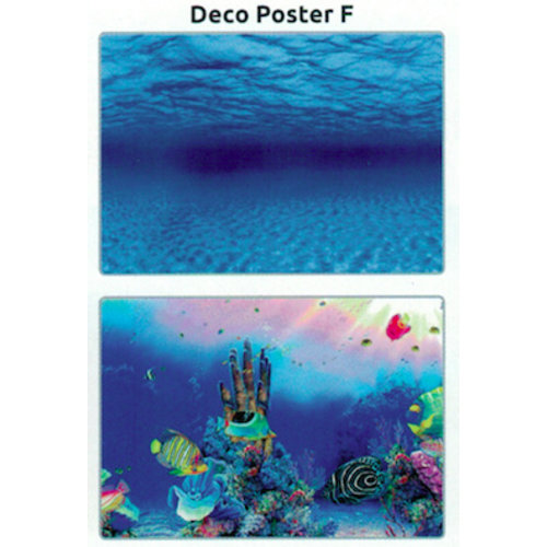 SuperFish SuperFish Deco poster F4 120x49 cm SuperFish SuperFish Deco poster F4 120x49 cm