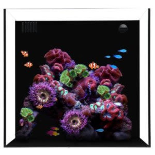 Waterbox Waterbox Cube 20 Waterbox Waterbox Cube 20