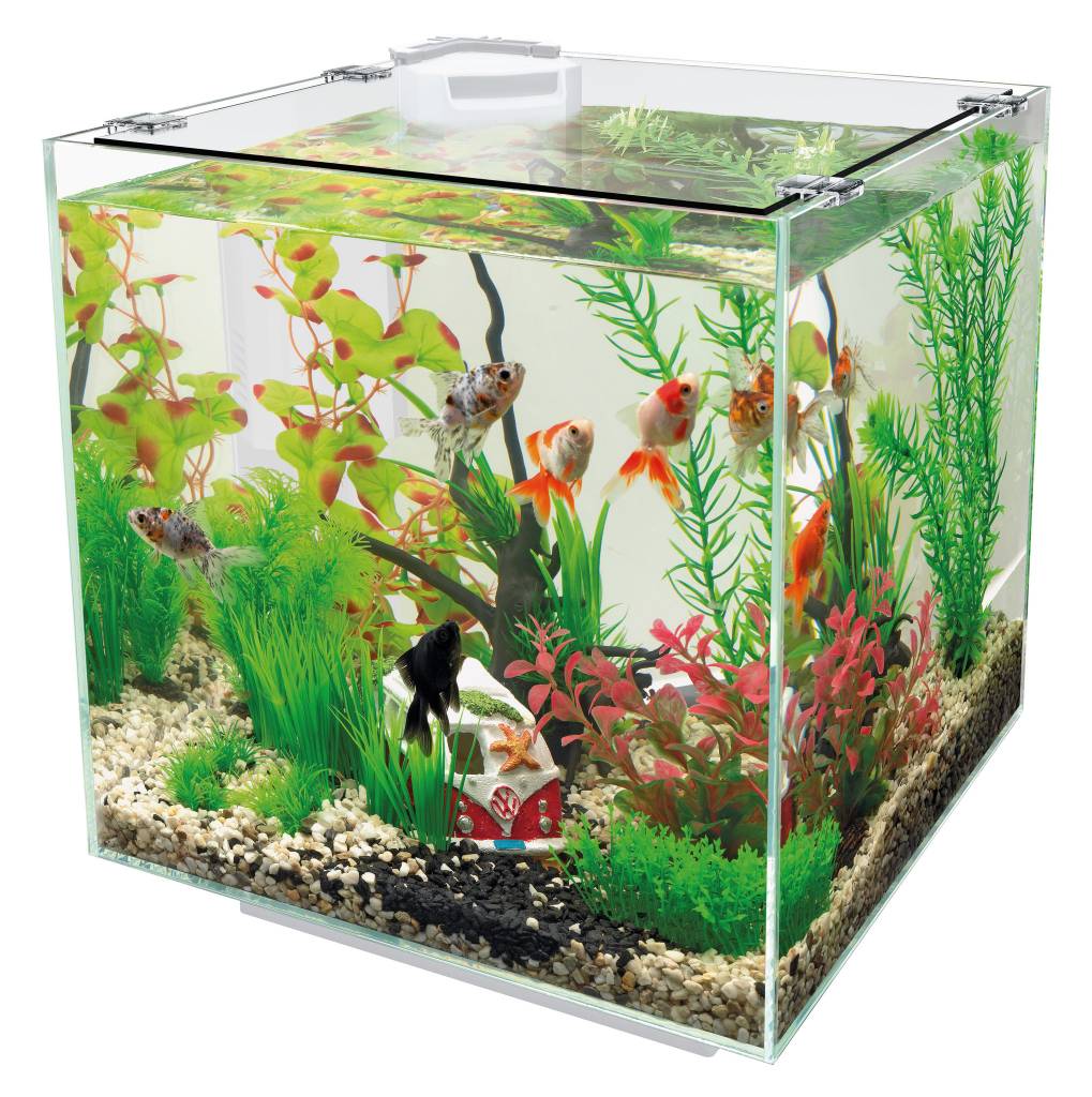 Opknappen Grand Overleving QubiQ 30 wit Aquarium van SuperFish - Te koop bij Aquacompleet -  Aquacompleet