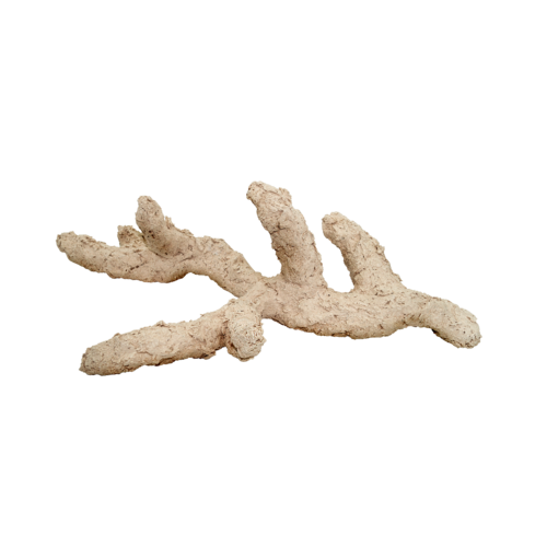 Arka Arka Reefbones keramiek branched 30 cm Arka Arka Reefbones keramiek branched 30 cm