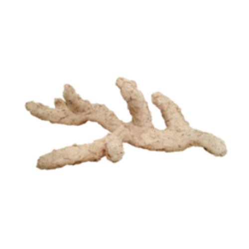 Arka Arka Reefbones keramiek branched 20 cm Arka Arka Reefbones keramiek branched 20 cm