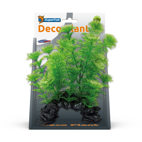 SuperFish SuperFish Deco plant s cabomba SuperFish SuperFish Deco plant s cabomba