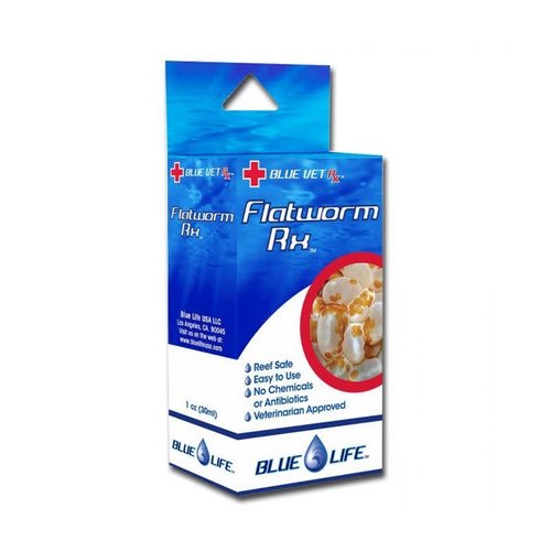 Blue Life Blue Life Flat worm RX Blue Life Blue Life Flat worm RX