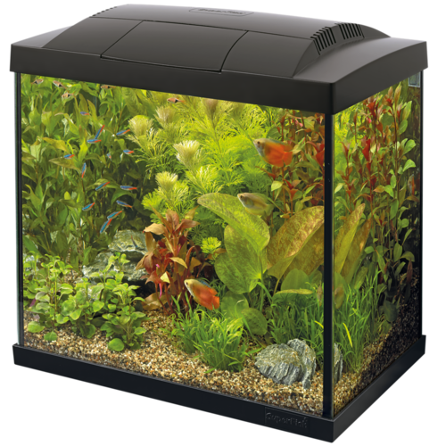 SuperFish SuperFish Start 30 tropical kit zwart SuperFish SuperFish Start 30 tropical kit zwart