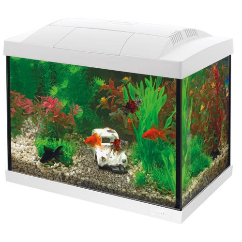 SuperFish SuperFish Start 20 goldfish kit wit SuperFish SuperFish Start 20 goldfish kit wit
