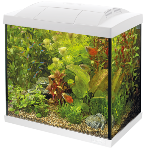SuperFish SuperFish Start 50 tropical kit wit(ALLEEEN AFHALEN) SuperFish SuperFish Start 50 tropical kit wit(ALLEEEN AFHALEN)