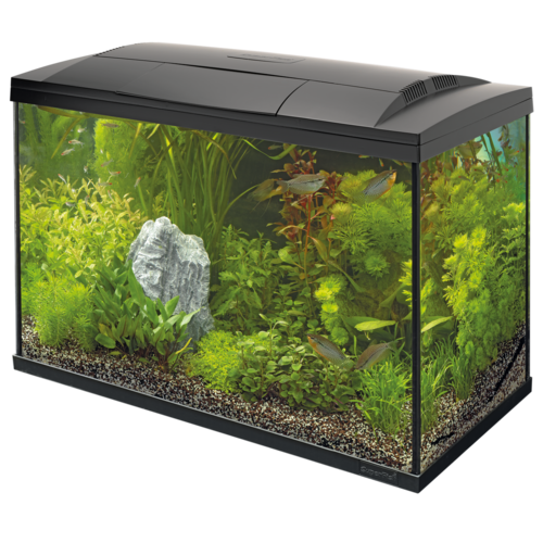 SuperFish SuperFish Start 100 tropical kit zwart SuperFish SuperFish Start 100 tropical kit zwart